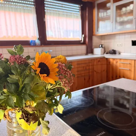 Ferienhaus & Gaestezimmer Waldblick